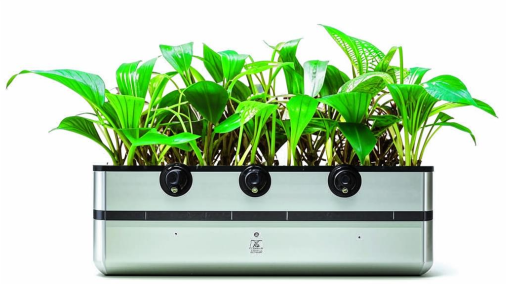 compact plant grow kits